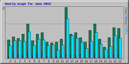 Hourly usage for June 2018