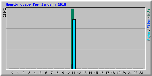 Hourly usage for January 2019