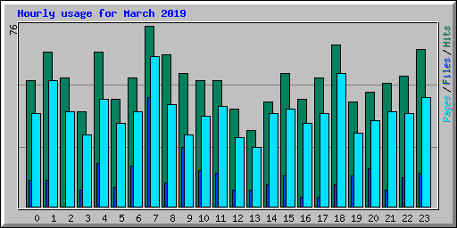 Hourly usage for March 2019