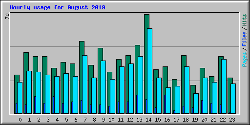 Hourly usage for August 2019