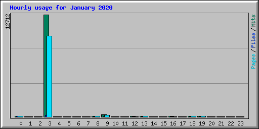 Hourly usage for January 2020