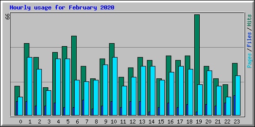 Hourly usage for February 2020